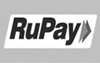 We Accept INR Rupay